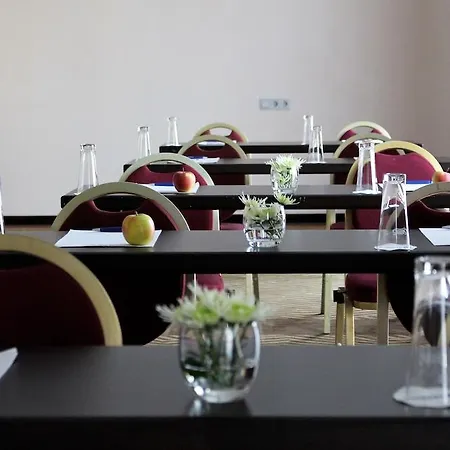 Best Western Hotel Frankfurt Airport Groß-Gerau
