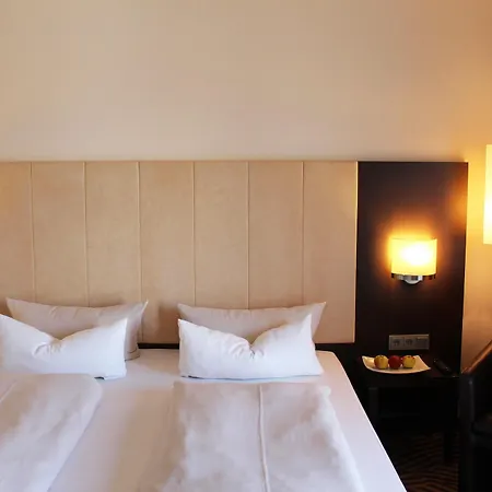 Best Western Hotel Frankfurt Airport Groß-Gerau