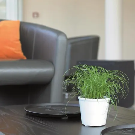 Western Frankfurt Airport Hotel Groß-Gerau